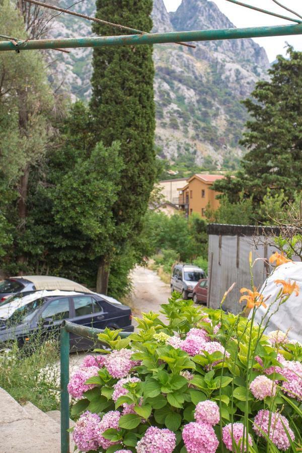 St Duke Apartment Kotor Exterior foto